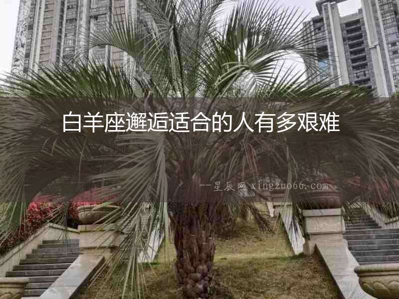 白羊座邂逅適合的人有多艱難