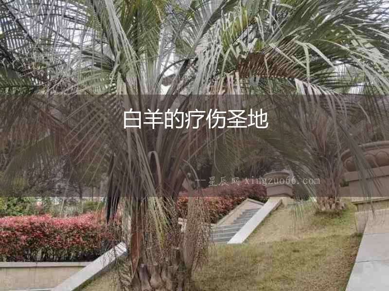 白羊的療傷圣地