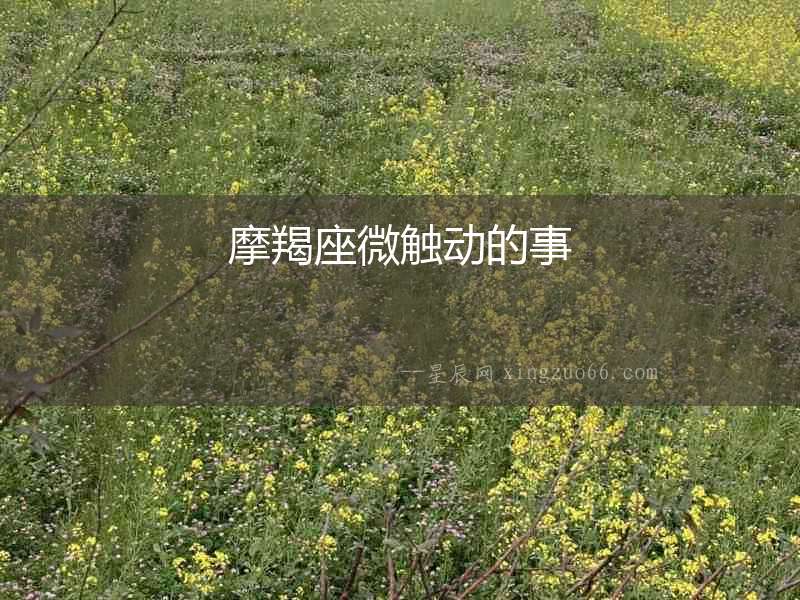 摩羯座微觸動(dòng)的事