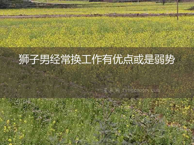 獅子男經常換工作有優點或是弱勢