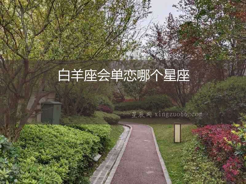 白羊座會單戀哪個星座