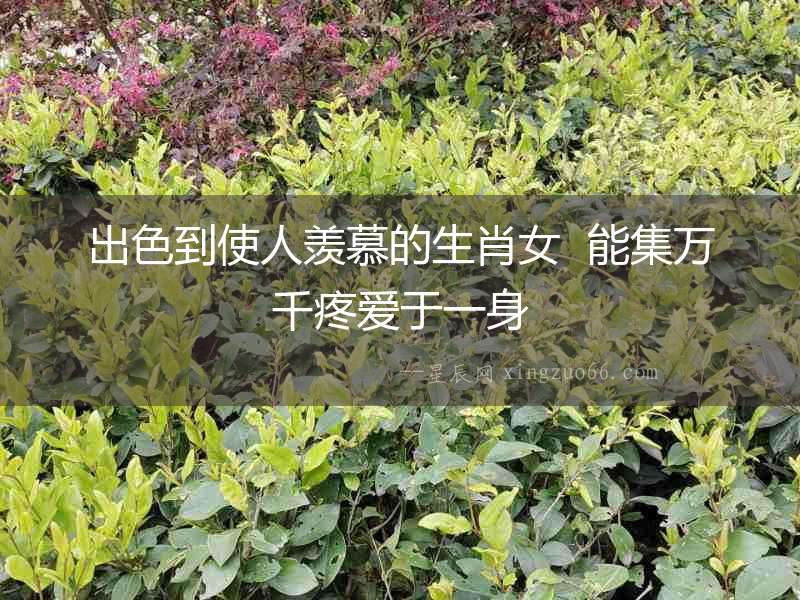出色到使人羨慕的生肖女  能集萬千疼愛于一身