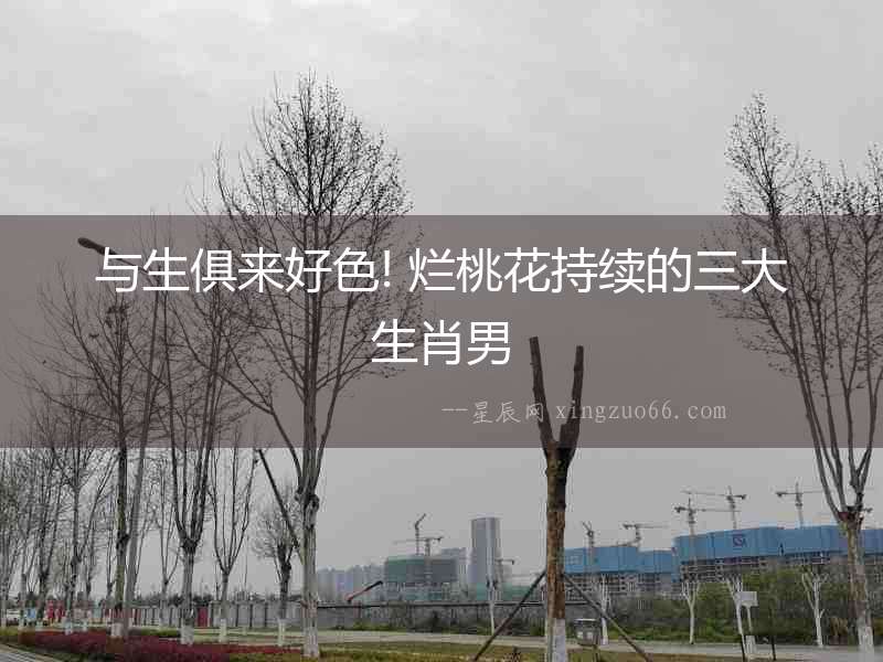 與生俱來好色! 爛桃花持續(xù)的三大生肖男