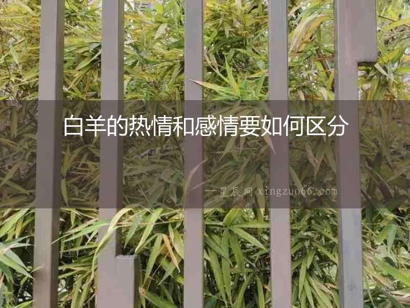 白羊的熱情和感情要如何區(qū)分