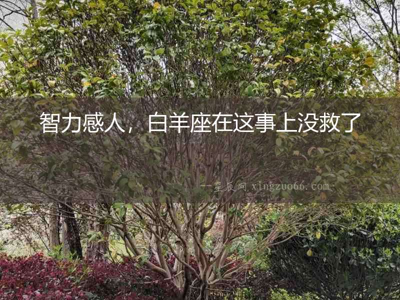 智力感人，白羊座在這事上沒救了