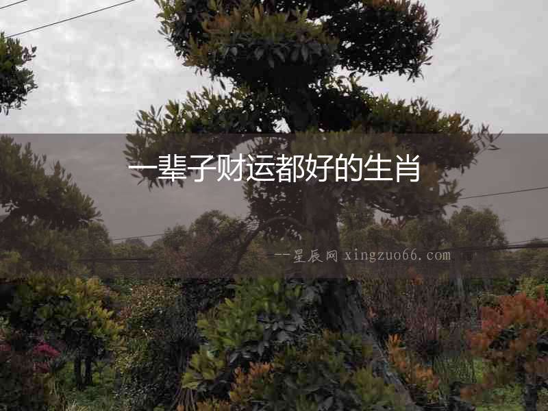 一輩子財運都好的生肖