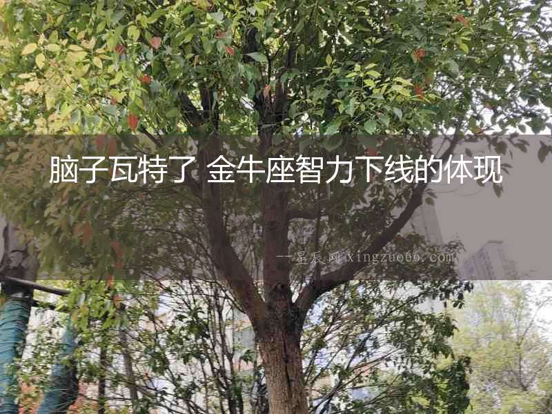 腦子瓦特了 金牛座智力下線的體現