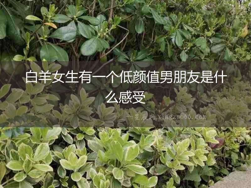 白羊女生有一個低顏值男朋友是什么感受