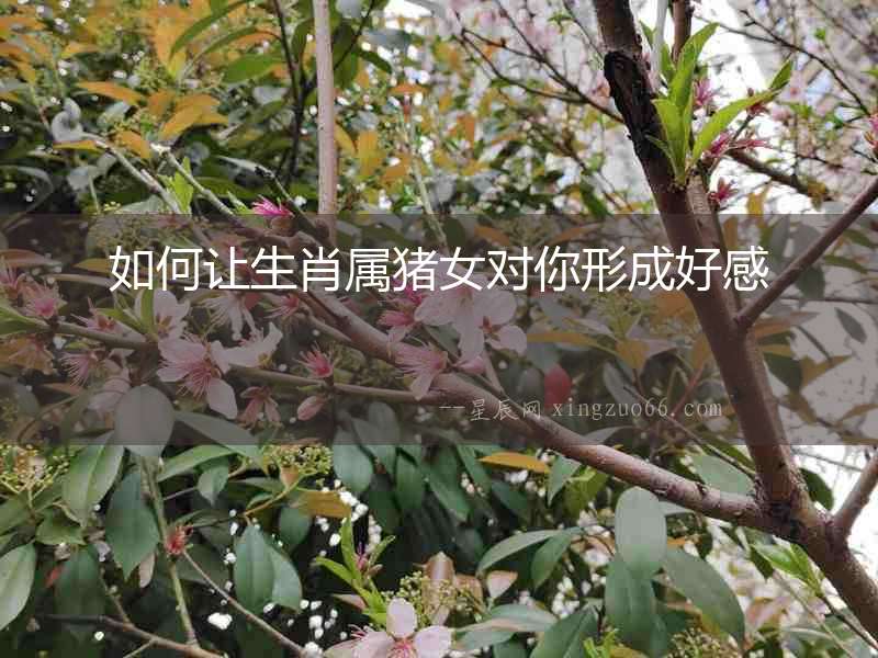 如何讓生肖屬豬女對你形成好感