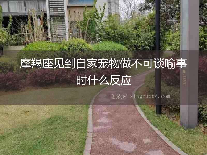 摩羯座見到自家寵物做不可談喻事時什么反應(yīng)