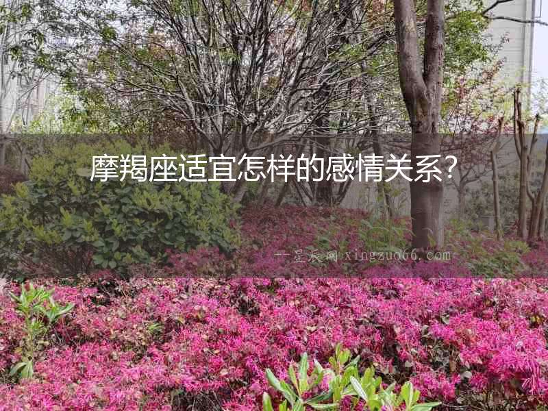 摩羯座適宜怎樣的感情關(guān)系？