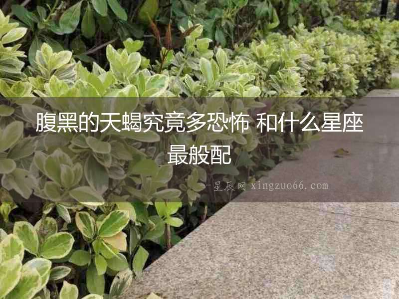 腹黑的天蝎究竟多恐怖 和什么星座最般配