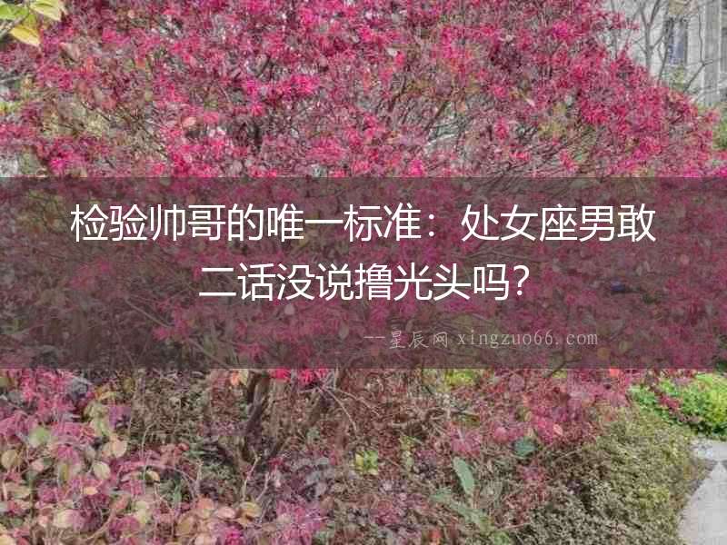 檢驗(yàn)帥哥的唯一標(biāo)準(zhǔn)：處女座男敢二話(huà)沒(méi)說(shuō)擼光頭嗎？