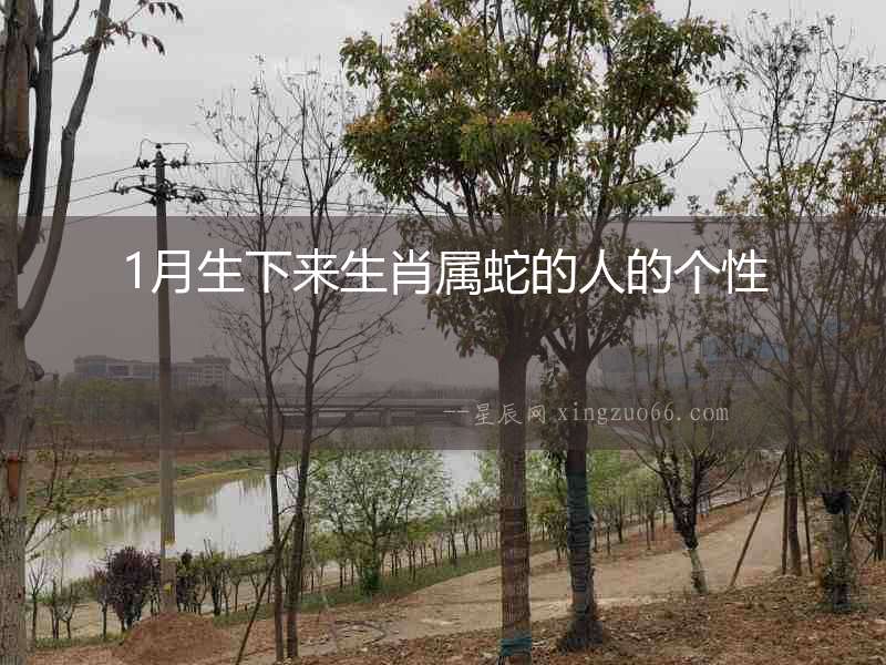 1月生下來生肖屬蛇的人的個性