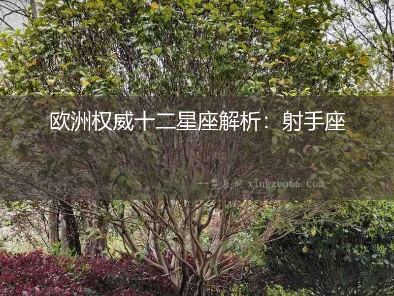 歐洲權威十二星座解析：射手座