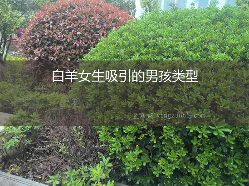白羊女生吸引的男孩類型