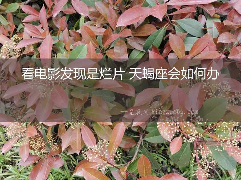 看電影發(fā)現(xiàn)是爛片 天蝎座會如何辦