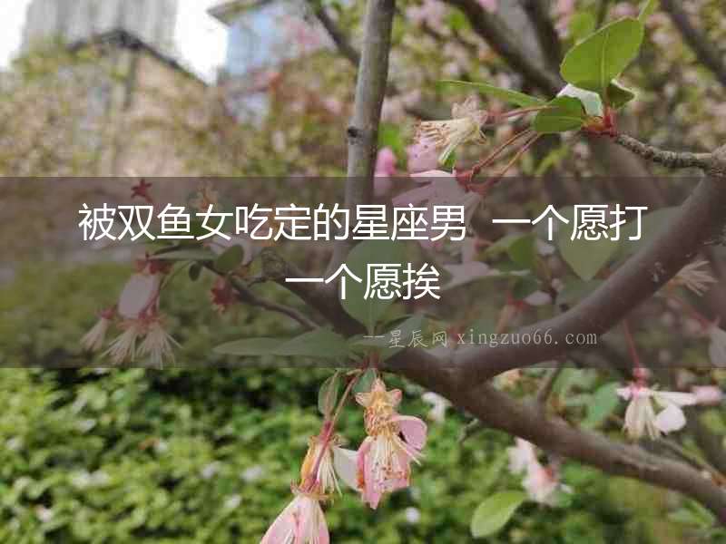 被雙魚女吃定的星座男  一個(gè)愿打一個(gè)愿挨