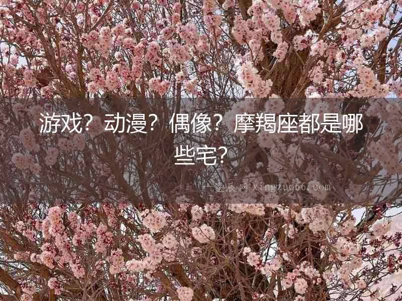 游戲？動(dòng)漫？偶像？摩羯座都是哪些宅？