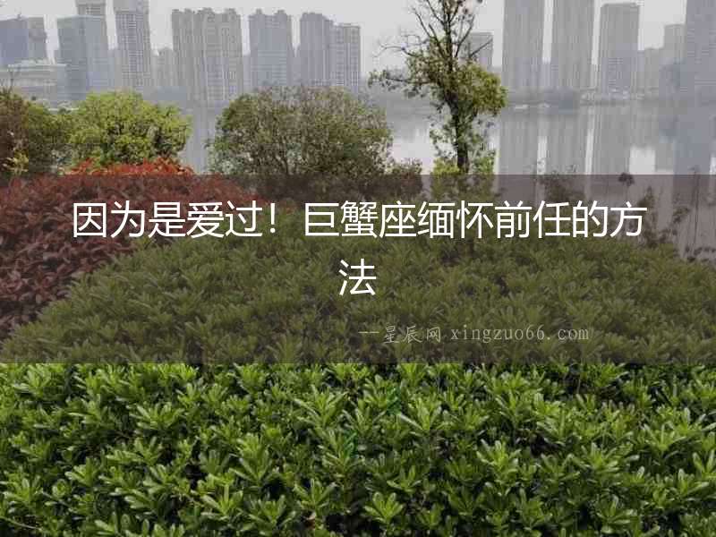 因為是愛過！巨蟹座緬懷前任的方法
