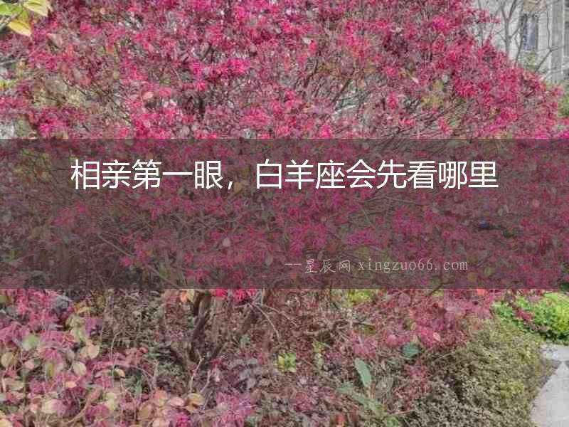 相親第一眼，白羊座會先看哪里