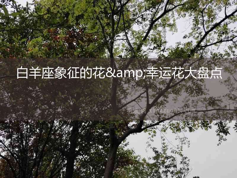 白羊座象征的花&幸運(yùn)花大盤點(diǎn)