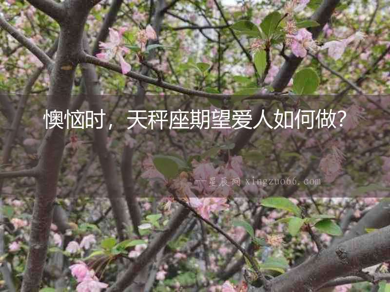 懊惱時，天秤座期望愛人如何做？