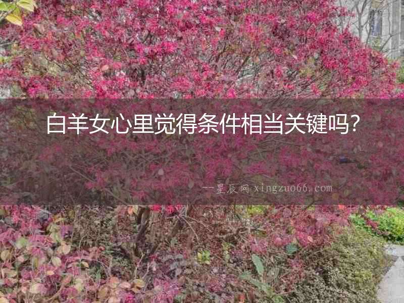 白羊女心里覺得條件相當關鍵嗎？