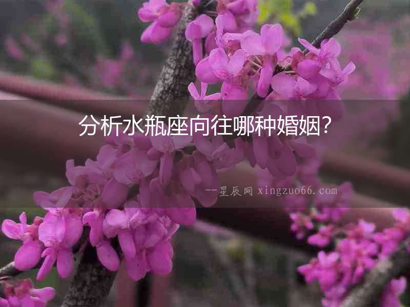 分析水瓶座向往哪種婚姻？