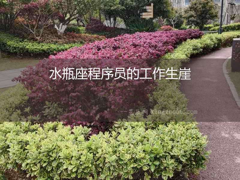 水瓶座程序員的工作生崖