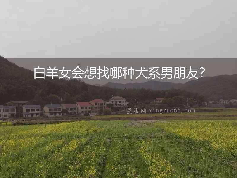 白羊女會想找哪種犬系男朋友？