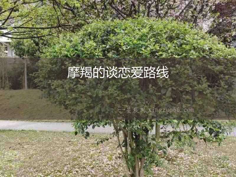 摩羯的談戀愛路線