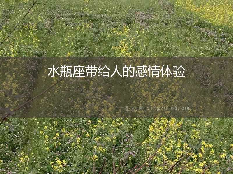 水瓶座帶給人的感情體驗