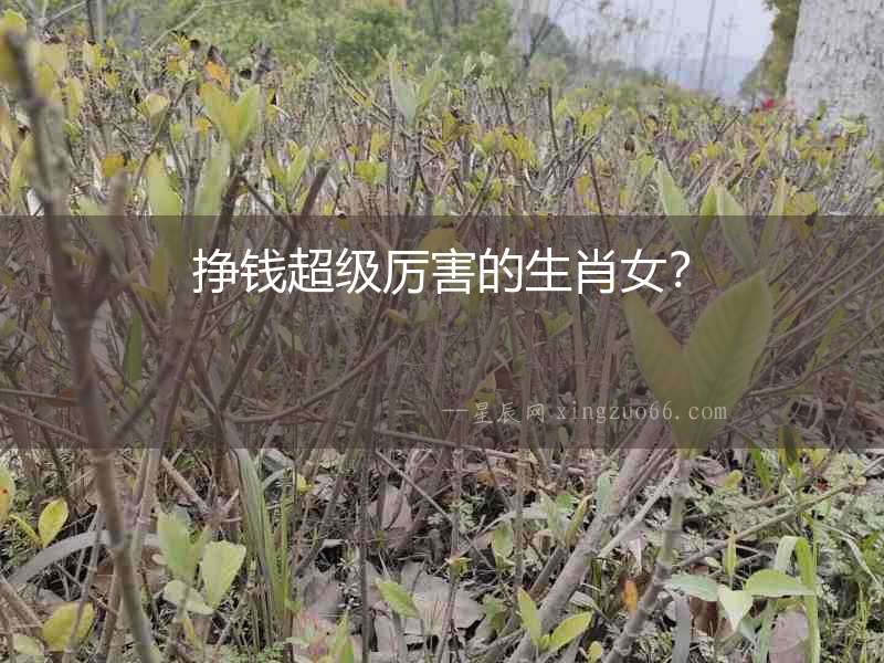 掙錢超級厲害的生肖女？