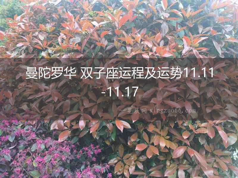 曼陀羅華 雙子座運(yùn)程及運(yùn)勢11.11-11.17