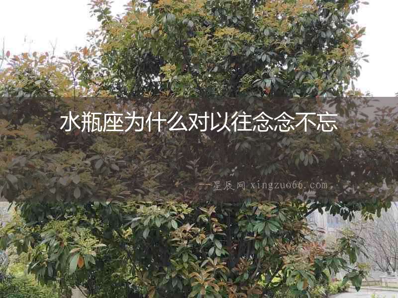 水瓶座為什么對以往念念不忘