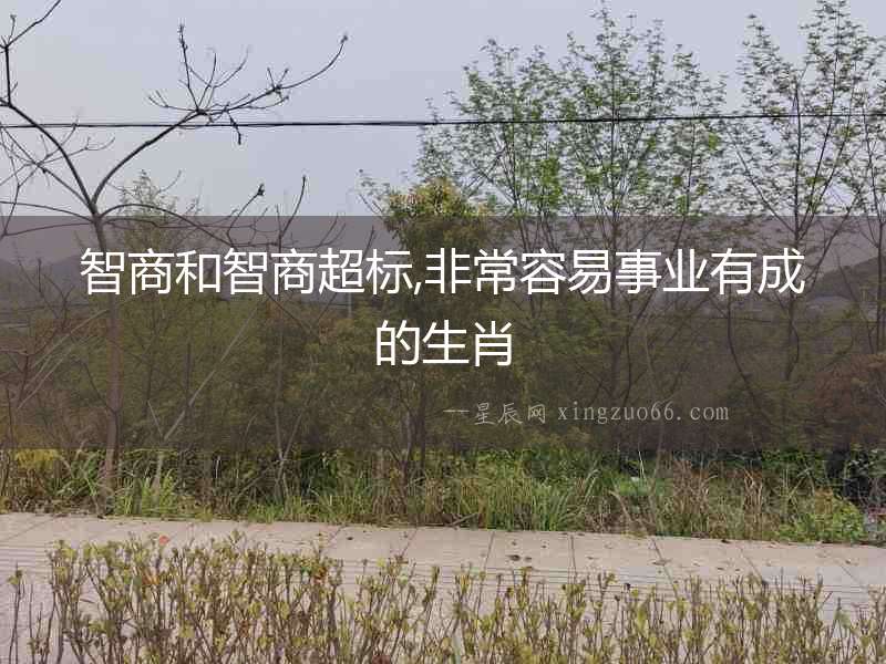 智商和智商超標,非常容易事業有成的生肖