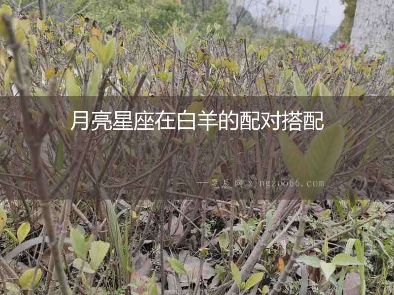 月亮星座在白羊的配對搭配