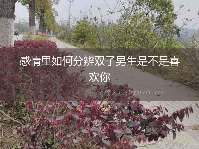 感情里如何分辨雙子男生是不是喜歡你