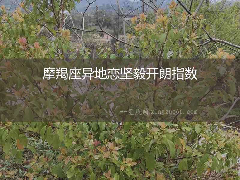 摩羯座異地戀堅毅開朗指數