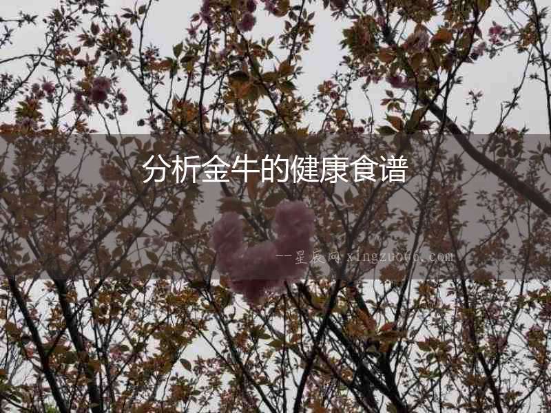 分析金牛的健康食譜