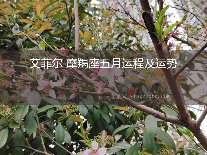艾菲爾 摩羯座五月運(yùn)程及運(yùn)勢(shì)