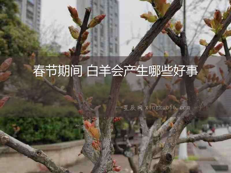 春節期間 白羊會產生哪些好事