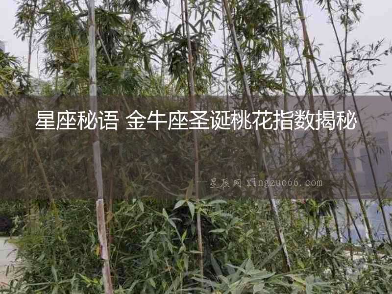星座秘語 金牛座圣誕桃花指數揭秘