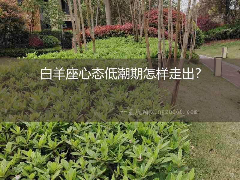 白羊座心態低潮期怎樣走出？