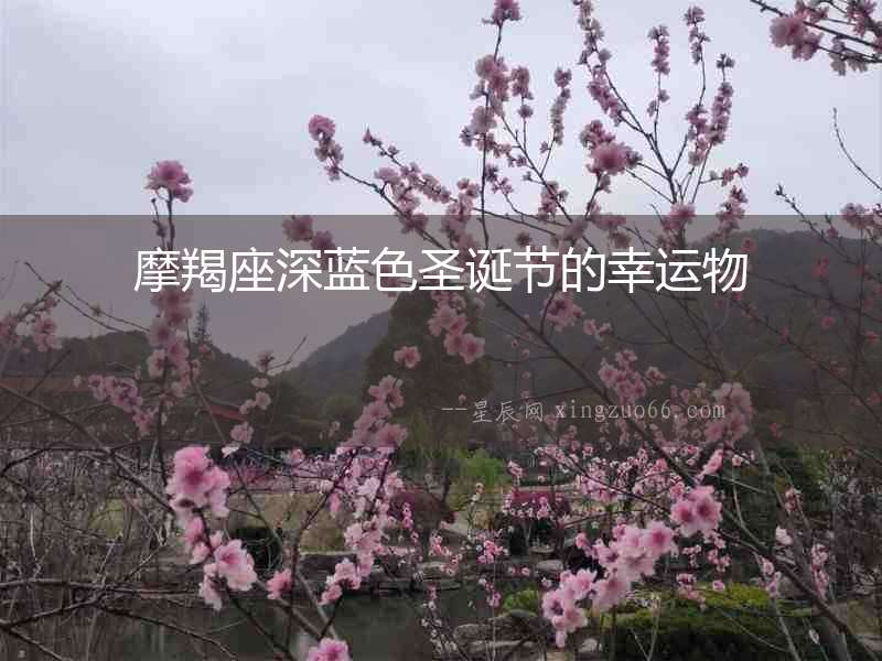 摩羯座深藍色圣誕節的幸運物