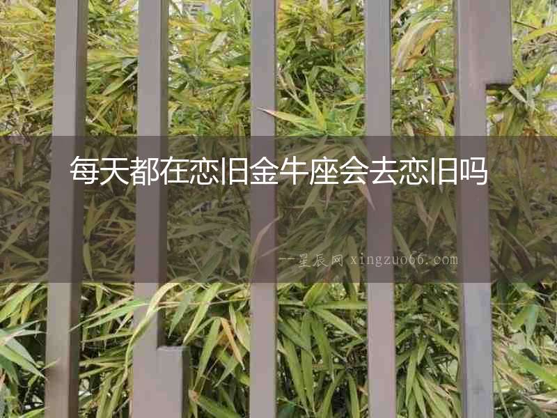 每天都在戀舊金牛座會(huì)去戀舊嗎
