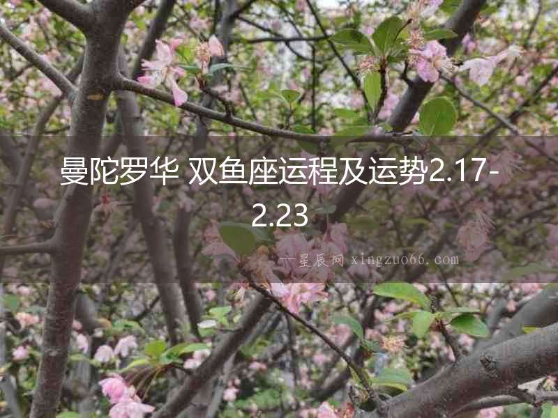 曼陀羅華 雙魚座運程及運勢2.17-2.23