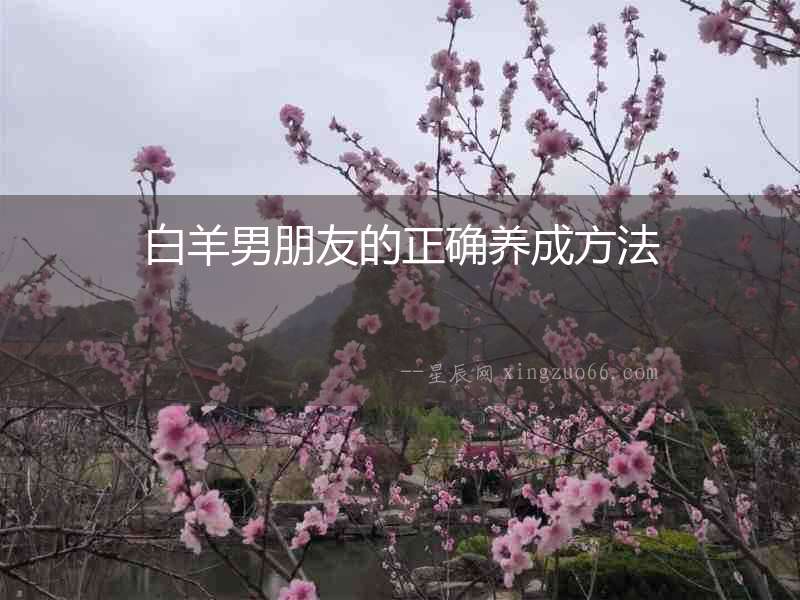 白羊男朋友的正確養(yǎng)成方法