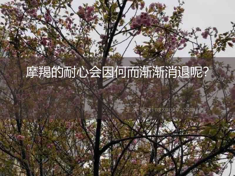 摩羯的耐心會(huì)因何而漸漸消退呢？